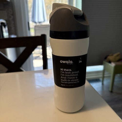Owala FreeSip 16 oz Stainless Steel Insulated Water Bottle – Sleek